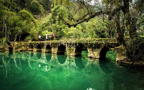 在这里, 你可以尽情享受美食的盛宴