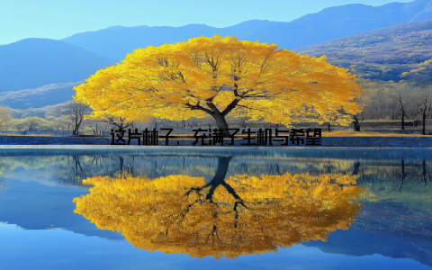 这片林子, 充满了生机与希望