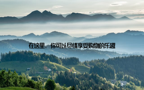 在这里, 你可以尽情享受购物的乐趣