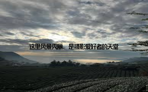 这里风景秀丽, 是摄影爱好者的天堂