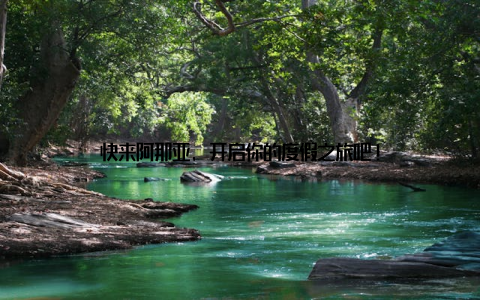 快来阿那亚, 开启你的度假之旅吧!