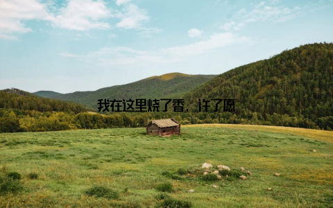 我在这里烧了香, 许了愿