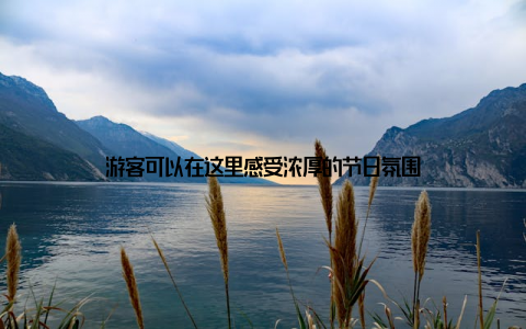 游客可以在这里感受浓厚的节日氛围