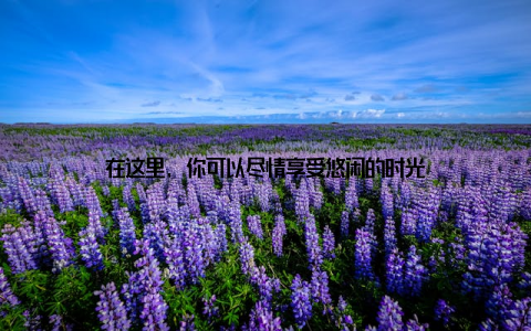 在这里, 你可以尽情享受悠闲的时光