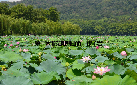 第二天游览阳朔西街、银子岩