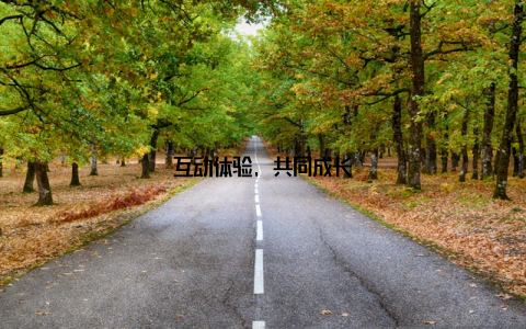 互动体验, 共同成长