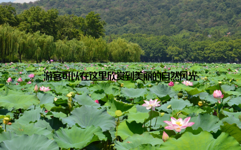 游客可以在这里欣赏到美丽的自然风光