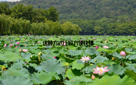 这种方式比较方便快捷