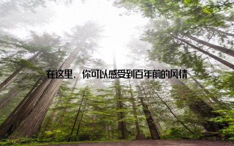 在这里, 你可以感受到百年前的风情