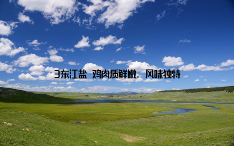 3东江盐焗鸡肉质鲜嫩, 风味独特