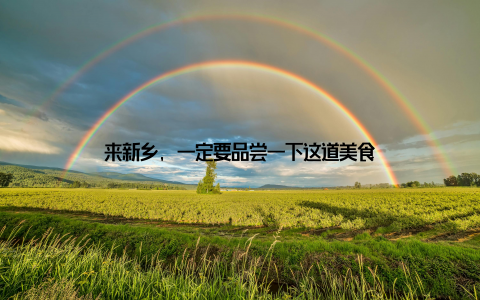 来新乡, 一定要品尝一下这道美食