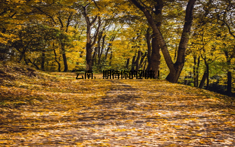 云南, 期待你的到来!