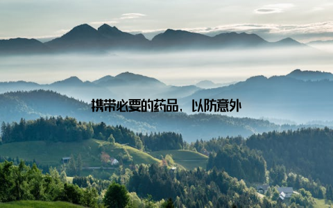 携带必要的药品, 以防意外