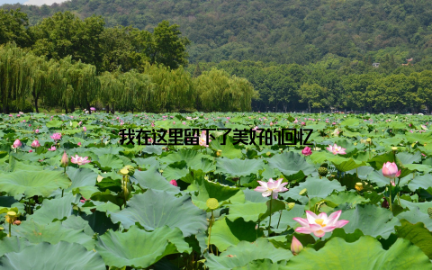 我在这里留下了美好的回忆